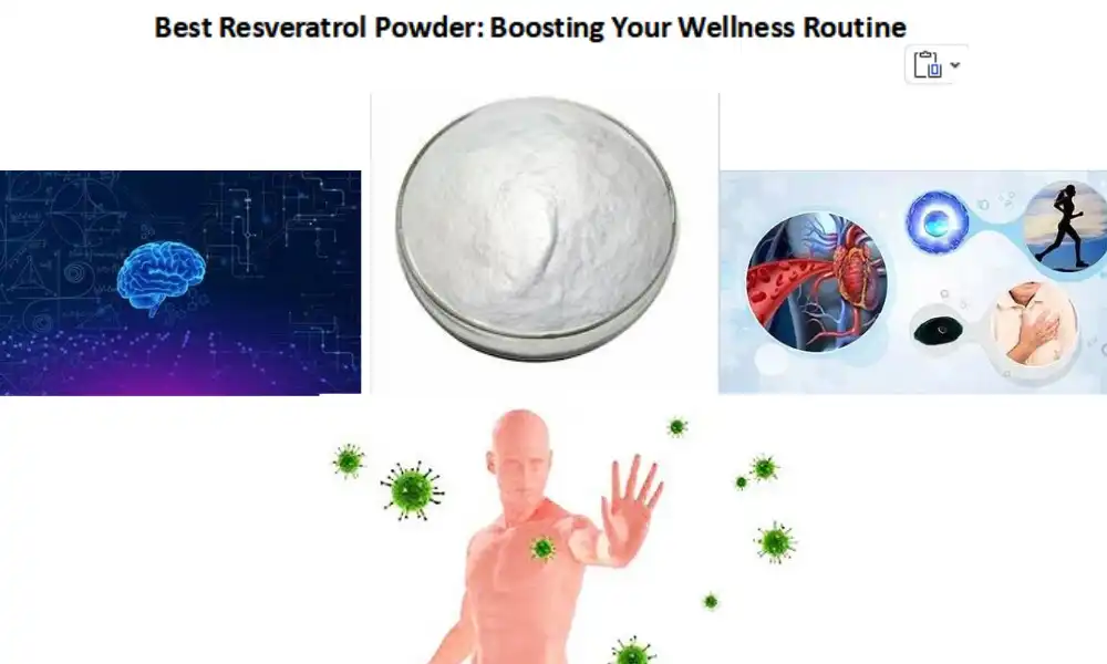 Best Resveratrol Powder: Boosting Your Wellness Routine